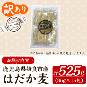 a1029 《訳あり》姶良市産はだか麦35g×15包(合計525g)【竹之内穀類産業】姶良市 国産 ご飯 麦ごはん はだか麦 穀物 食物繊維 小分け 常温 常温保存 メール便