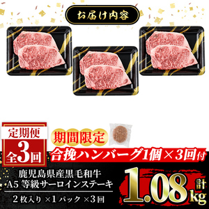 a853-E ＜期間限定！合挽ハンバーグ付＞【3回定期便】≪A5等級≫鹿児島県産黒毛和牛サーロイン2枚入り(3P計1.08kg) 【水迫畜産】姶良市 国産 牛肉 サーロインステーキ ステーキ ステーキ肉 和牛