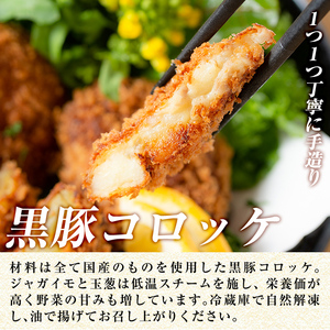 a105 国産！鹿児島黒豚「短鼻豚」無添加コロッケ 6個セット【鹿児島ますや】姶良市 国産 鹿児島黒豚 豚肉 無添加 冷凍黒豚コロッケ 揚げるだけ 小分け 真空パック 簡単 惣菜 総菜 おかず 弁当