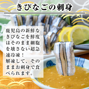 a1041 捕れたてキビナゴのお刺身(15尾入り×4P)【海鮮七海】姶良市 国産 きびなご キビナゴ 刺身 さしみ 刺し身 冷凍