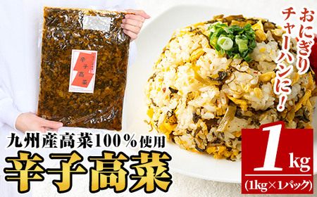a568-A 九州産辛子高菜1kg(1kg×1パック)【九州新進】姶良市 国産 九州産 たかな 漬物 漬け物 ご飯のお供 おかず おつまみ おにぎり 常温 常温保存