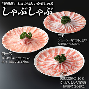 a039-A 【3回定期便】鹿児島黒豚「短鼻豚」しゃぶしゃぶセット計3kg(1kg×3回)(ロース肉・バラ肉・モモ肉)【鹿児島ますや】姶良市 国産 鹿児島県 肉 豚 豚肉 黒豚 スライス しゃぶしゃぶ セット 小分け 食べ比べ