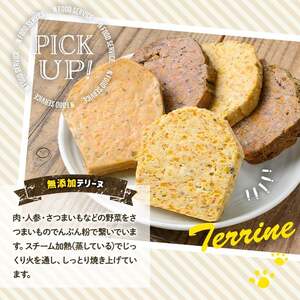 a1091-A ＜保存料・着色料 不使用＞愛犬用無添加テリーヌ レトルトパック 7種セット 計7袋(1袋約100g・合計約700g)【Nフードサービス】姶良市 牛 豚 鶏 鹿 馬 魚 ダチョウ テリーヌ 犬 ドッグ ペット フード エサ レトルト おやつ ごはん ご飯 間食 ご褒美