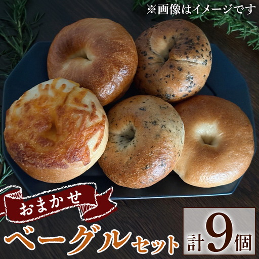 a1098 おまかせベーグルセット(計9個)【bagel cafe sonnet】姶良市 パン ベーグル 冷凍パン 詰め合わせ 個包装 冷凍