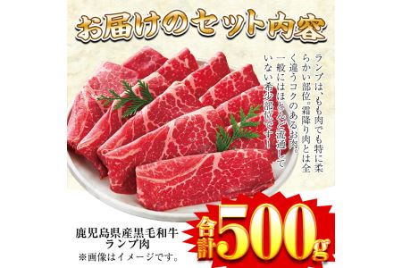 No 257 超希少部位 鹿児島県産黒毛和牛肉 ランプ肉スライス 約500g すき焼きやしゃぶしゃぶに 財宝 鹿児島県姶良市 ふるさと納税サイト ふるなび