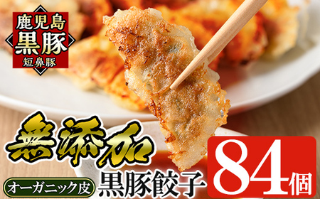 a308 【12月9日受付終了】鹿児島黒豚「短鼻豚」餃子セット84個(オーガニック皮使用)【鹿児島ますや】ギョーザ 餃子 無添加 惣菜 おかず おつまみ 冷凍 黒豚 国産野菜 ぎょうざ