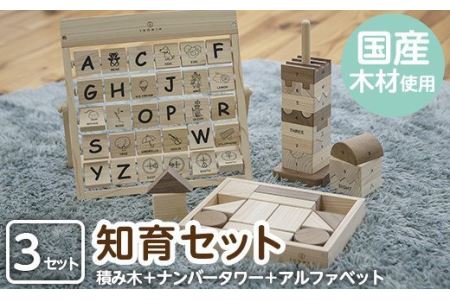 No 546 姶良市産木材使用 Ikonih知育セット ひのきが香る木製のブロック 数字ブロックのナンバータワー 遊びながら覚えられるアルファベットカードのアイコニーおもちゃセット Ikonih Fukuoka 鹿児島県姶良市 ふるさと納税サイト ふるなび