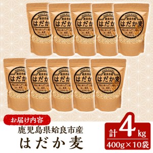 a713 数量限定！姶良市産はだか麦(計4kg・400g×10個)【竹之内穀類産業】