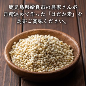 a713 数量限定！姶良市産はだか麦(計4kg・400g×10個)【竹之内穀類産業】