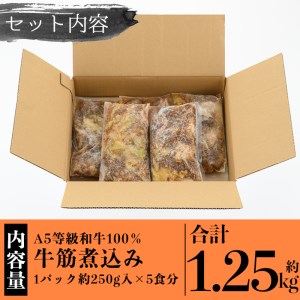 a822 《訳あり》国産A5等級和牛100％牛すじ煮込み(合計約1.25kg・約250g×5食分)【やまさき】牛筋 牛すじ 煮込み 時短調理 冷凍