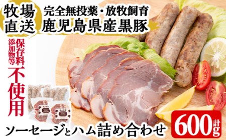 a829 月ノ灯牧場直送！保存料・添加物等不使用の鹿児島県産黒豚ソーセージとハム詰め合わせ合計600g(ソーセージ200g×2p・ハム100g×2p)【pig village company】