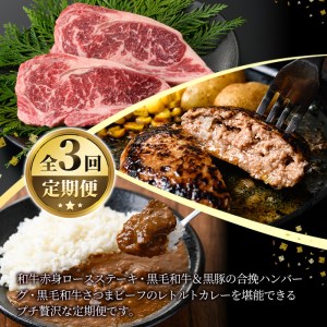 a838 ≪数量限定・定期便全3回≫黒豚・和牛の総菜定期便！計2.7kg超！和牛赤身ロースステーキ(180g×2枚)・黒毛和牛＆黒豚の合挽生ハンバーグ(150g×8個)・黒毛和牛さつまビーフレトルトカレー(200g×6P)【水迫畜産】