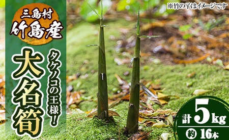 msm-016 《先行予約受付中！2026年5月初旬以降順次発送予定》大名筍(5kg・約16本)【NPO法人みしまですよ】三島村 筍 たけのこ タケノコ 皮付き  野菜 新鮮 煮物 味噌汁 炊き込みご飯 