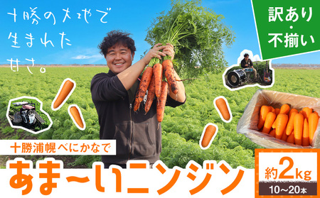 甘～いニンジン 十勝 浦幌べにかなで 【訳あり・不揃い】 約2kg 10～20本 農事組合法人レギューム《12月上旬から5月上旬頃出荷》北海道 浦幌町 人参 にんじん 安心 安全 野菜 お野菜 やさい 紅奏 シャキシャキ 甘い