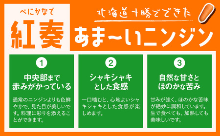 甘～いニンジン 十勝 浦幌べにかなで 【訳あり・不揃い】 約2kg 10～20本 農事組合法人レギューム《12月上旬から5月上旬頃出荷》北海道 浦幌町 人参 にんじん 安心 安全 野菜 お野菜 やさい 紅奏 シャキシャキ 甘い