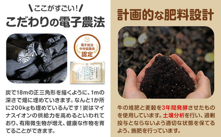 じゃがいも（ゆめいころ）とたまねぎのセット 合計約10kg 野菜 《10月中旬から順次出荷》橋枝物産 北海道 浦幌町