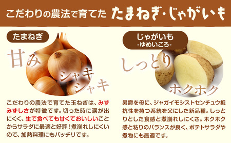 じゃがいも（ゆめいころ）とたまねぎのセット 合計約10kg 野菜 《10月中旬から順次出荷》橋枝物産 北海道 浦幌町