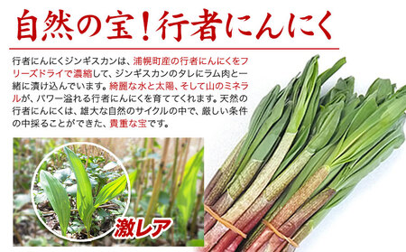 北海道産 ジンギスカン ラム 豚 600g (各300g) 行者にんにく味