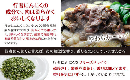 北海道産 ジンギスカン ラム 豚 600g (各300g) 行者にんにく味