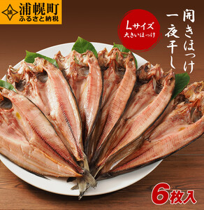 真ほっけ開き一夜干し 手づくり６枚セット  ほっけ  焼き魚  真ほっけ 一夜干し 《30日以内に出荷予定(土日祝除く)》