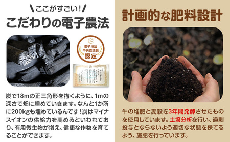 じゃがいも（レッドムーン）とたまねぎのセット 合計約10kg 野菜《10月中旬から順次出荷》 橋枝物産 北海道 浦幌町