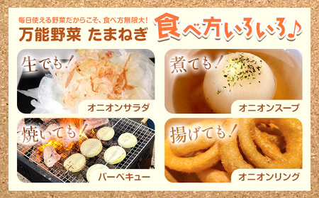 十勝 電子技法栽培たまねぎ 約10kg 橋枝物産　北海道　浦幌町《10月上旬から順次出荷》