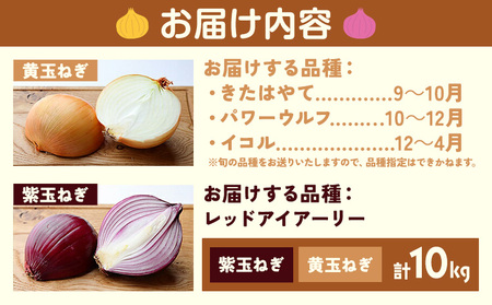 電子技法栽培たまねぎ2種セット 合計約10kg 《10月上旬から順次出荷》橋枝物産　北海道　浦幌町