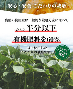 かぼちゃ合計10kg（九重栗2～3玉、白い九重栗2玉程度）おかだ農園《9月中旬出荷》 かぼちゃ かぼちゃ かぼちゃ かぼちゃ かぼちゃ かぼちゃ かぼちゃ かぼちゃ かぼちゃ かぼちゃ かぼちゃ かぼちゃ かぼちゃ かぼちゃ かぼちゃ かぼちゃ かぼちゃ かぼちゃ かぼちゃ かぼちゃ かぼちゃ かぼちゃ かぼちゃ かぼちゃ かぼちゃ かぼちゃ かぼちゃ かぼちゃ かぼちゃ かぼちゃ かぼちゃ かぼちゃ かぼちゃ かぼちゃ かぼちゃ かぼちゃ かぼちゃ かぼちゃ かぼちゃ かぼちゃ かぼちゃ かぼちゃ かぼちゃ かぼちゃ かぼちゃ かぼちゃ かぼちゃ かぼちゃ かぼちゃ かぼちゃ かぼちゃ かぼちゃ かぼちゃ かぼちゃ かぼちゃ 九重栗九重栗九重栗九重栗九重栗九重栗九重栗九重栗九重栗九重栗九重栗九重栗九重栗九重栗九重栗九重栗九重栗九重栗九重栗