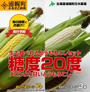 とうもろこし2種セット  合計10本（おひさまコーン７本、ロイシーコーン３本） 元木農場 北海道浦幌町産 生でも食べられる糖度20度以上 朝もぎたてとうもろこし 旬の時期にお届け 朝採り【8月下旬-9月中旬より順次出荷】とうもろこし とうもろこし とうもろこし とうもろこし とうもろこし とうもろこし とうもろこし とうもろこし とうもろこし とうもろこし とうもろこし とうもろこし とうもろこし とうもろこし とうもろこし とうもろこし とうもろこし とうもろこし とうもろこし とうもろこし とうもろこし とうもろこし とうもろこし とうもろこし とうもろこし とうもろこし とうもろこし とうもろこし とうもろこし とうもろこし とうもろこし とうもろこし とうもろこし とうもろこし とうもろこし とうもろこし とうもろこし とうもろこし とうもろこし とうもろこし とうもろこし とうもろこし とうもろこし とうもろこし とうもろこし とうもろこし とうもろこし とうもろこし とうもろこし とうもろこし とうもろこし とうもろこし とうもろこし とうもろこし とうもろこし とうもろこし とうもろこし とうもろこし とうもろこし とうもろこし