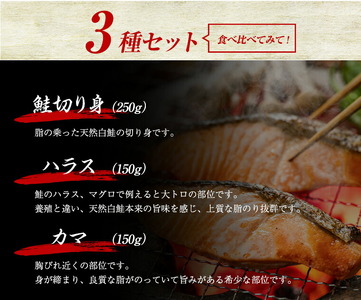 新巻鮭セット 3種合計550g（切り身250g・ハラス150g・カマ150g）浦幌町厚内産
