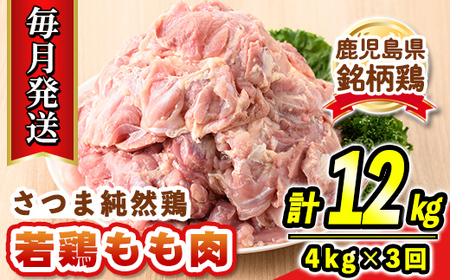 s528-A 【毎月・定期便3回】鹿児島県産銘柄鶏・さつま純然・若鶏もも肉(計12kg・4kg×3回) 鹿児島 国産 九州産 鶏肉 モモ肉 若鶏 精肉 唐揚げ チキンソテー 照り焼き 鍋【江夏商事】