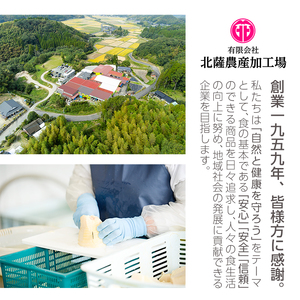 s555 たけのこ水煮 トライカット詰め合わせ(計960g・120g×8袋) 鹿児島 国産 タケノコ 竹の子 水煮 野菜 カット パック 煮物 炊き込みご飯【北薩農産加工場】