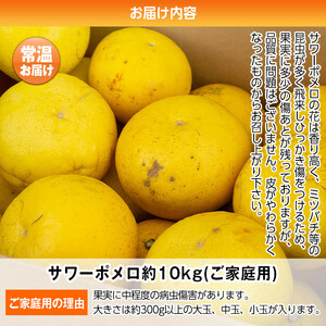 s570 《期間・数量限定》ご家庭用サワーポメロ(約10kg) 鹿児島 国産 九州産 果物 柑橘 フルーツ みかん 文旦 ボンタン ご家庭用 訳あり 【よしたか農園】