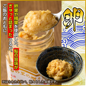 s569 ＜期間・数量限定＞鮎うるか2種(計2本・卵×1本、はらわた×1本・各50g) 塩辛 うるか にがうるか おつまみ 珍味 発酵食品 あゆ アユ 魚 魚介 川魚 内臓 はらわた 【しもむぎ】