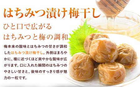 訳あり はちみつ漬け梅干し 350g×2 定期便 連続 3回 農事組合法人 梅香丘《お申込みの翌月から出荷》鹿児島県 さつま町 うめぼし 蜂蜜 お取り寄せ プレゼント