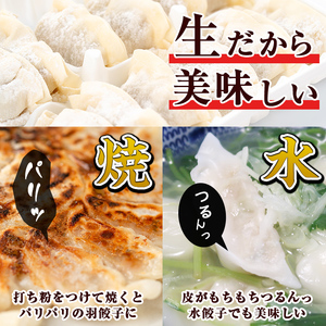 s600 タレ付き！鹿児島うんまか豚生餃子(計48個・12個入り×4P) 鹿児島 冷凍 にんにく・ニラ不使用 国産野菜100％ ぎょうざ 餃子 ギョーザ 焼き餃子 水餃子 生餃子 おかず【肉の寺師】