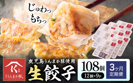 s601-B 【隔月・定期便3回】タレ付き！鹿児島うんまか豚生餃子(計48個・12個入り×4P×3回) 鹿児島 冷凍 にんにく・ニラ不使用 国産野菜100％ ぎょうざ 餃子 ギョーザ 焼き餃子 水餃子 生餃子 おかず 定期便 隔月【肉の寺師】