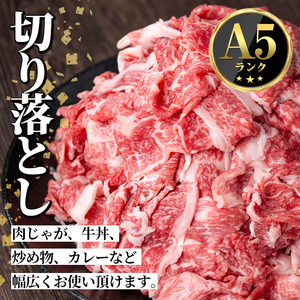 s590 <先行予約受付中!2026年1月中旬より順次発送予定>鹿児島県産 北さつま高崎牛 切り落とし肉 (計約1kg・約500g×2) 黒毛和牛 A5ランク A5 雌牛 切落し 切り落し 牛肉 小分け お肉 真空パック 【太田家】