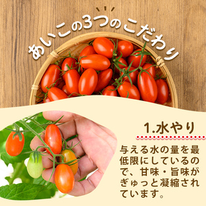 s612 《期間・数量限定》あいこフルーツトマト(計800g・200g×4パック) 鹿児島 国産 九州産 野菜 とまと トマト ミニトマト フルーツトマト サラダ 【吉祥庵園芸】