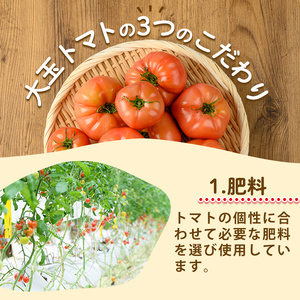 s613 《期間・数量限定》＜訳あり＞大玉トマト(約2kg) 鹿児島