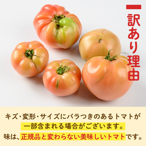 s613 《期間・数量限定》＜訳あり＞大玉トマト(約2kg) 鹿児島