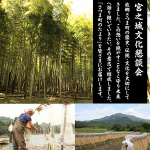 s625 《数量限定》さつま町の文化と歴史の本(4点セット) 鹿児島 宮之城 歴史本 文化本 本 BOOK ブック 故郷 資料 書籍 【宮之城文化懇談会】