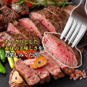 s628 鹿児島県産黒毛和牛ヒレステーキ2種盛り(計660g・220g×3パック) 鹿児島 国産 黒牛 牛肉 九州産 霜降り 赤身 フィレ ステーキ サイコロステーキ ヒレステーキ 【カミチク】