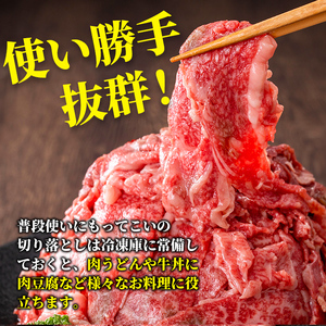 s629 【A5等級】鹿児島県産黒毛和牛切り落とし(計750g・250g×3パック)  鹿児島 国産 黒牛 牛肉 九州産 切落し  A5等級 小分け お肉 【カミチク】