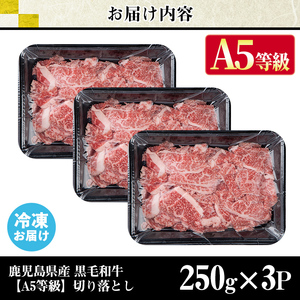 s629 【A5等級】鹿児島県産黒毛和牛切り落とし(計750g・250g×3パック)  鹿児島 国産 黒牛 牛肉 九州産 切落し  A5等級 小分け お肉 【カミチク】