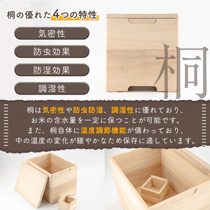 s634 ライスビッツ(5kg用・高さ230mm×幅215mm×奥行300mm) 桐 米びつ 米櫃 こめびつ 保管 収納 木工品 日用品 ライスストッカー 【(株)杉建】