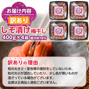 s637 《訳あり》国産赤紫蘇100%使用しそ漬け(計1.6kg・400g×4箱/塩分濃度18%) 鹿児島 国産 梅 うめ ウメ 梅干し ご飯のお供に 食べ比べ セット 常温 【梅香丘】