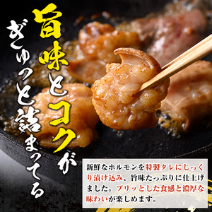 s655 タレ漬け MIXホルモン(約320g) 牛肉 ホルモン ホルモンミックス 味付け たれ漬け モツ おかず おつまみ 簡単 冷凍 【福永畜産】