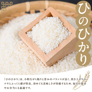 s692 ＜令和6年産＞薩摩のさつま(計10kg・5kg×2袋) 鹿児島 国産 九州産 お米 こめ コメ 米 白米 精米 ヒノヒカリ ひのひかり ごはん ご飯 ライス 【JA北さつま】