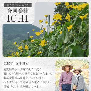 s693 HECHIMARS 洗顔石けん (約100g×1個《レモングラスの香り》) 鹿児島 石けん 石鹸 洗顔 洗顔石けん 洗顔石鹸 固形石鹸 洗顔料 へちま 馬油 ヘチマ スキンケア レモングラス 【合同会社ICHI】